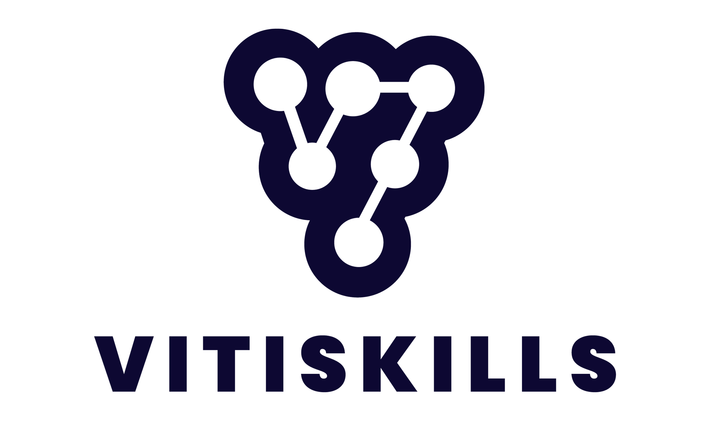 Vitiskills logo