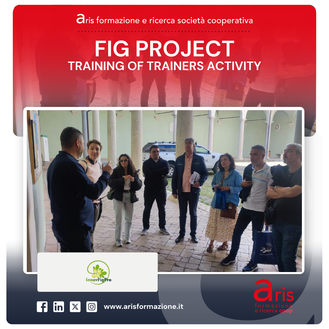 fig project training