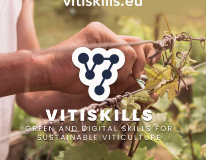 PARTITO IL VITISKILLS TRAINING TOUR IN ITALIA