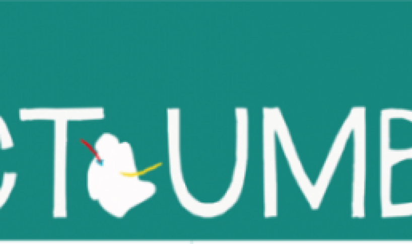 Impact Umbria Logo