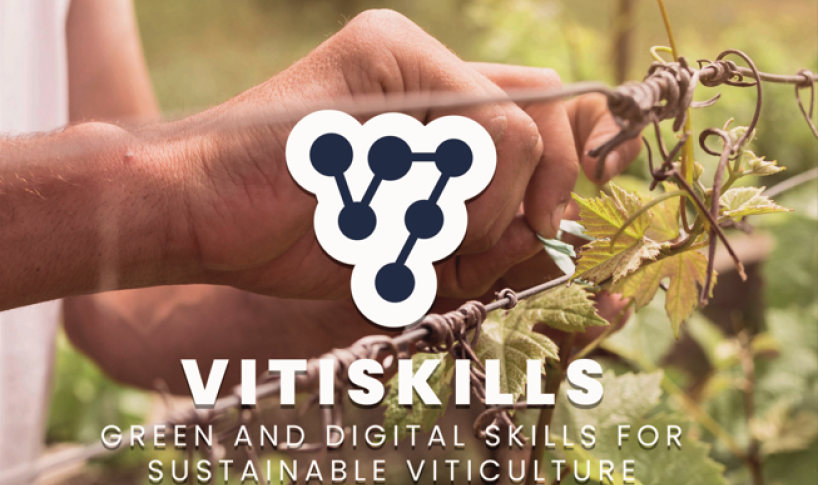 PARTITO IL VITISKILLS TRAINING TOUR IN ITALIA